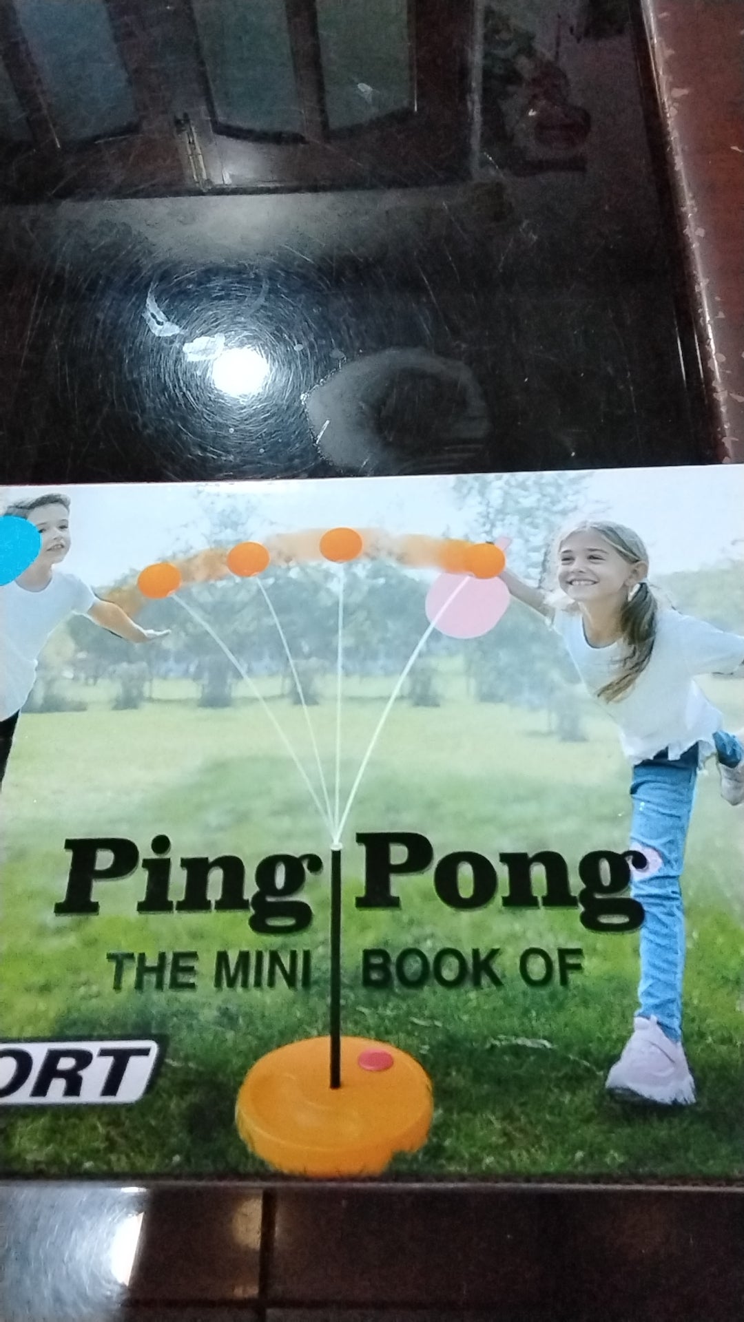 PING PONG NEW
