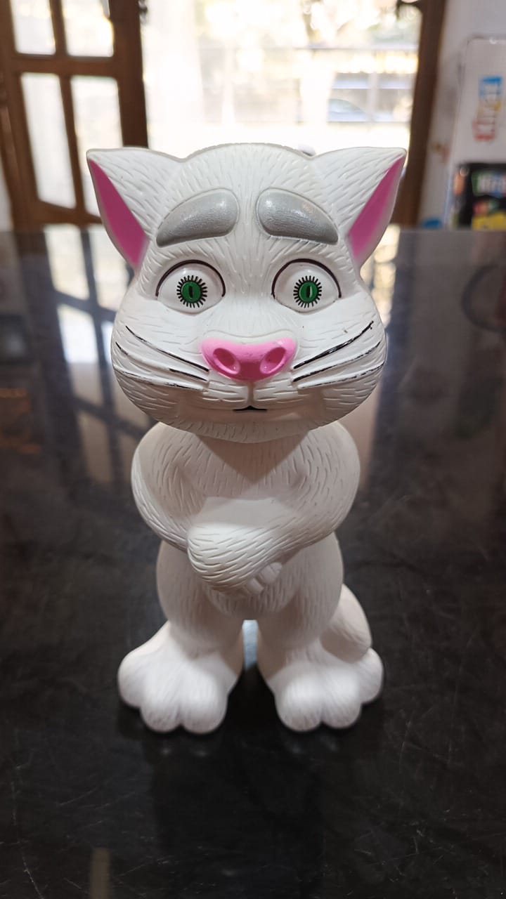 Refurbished talking tom