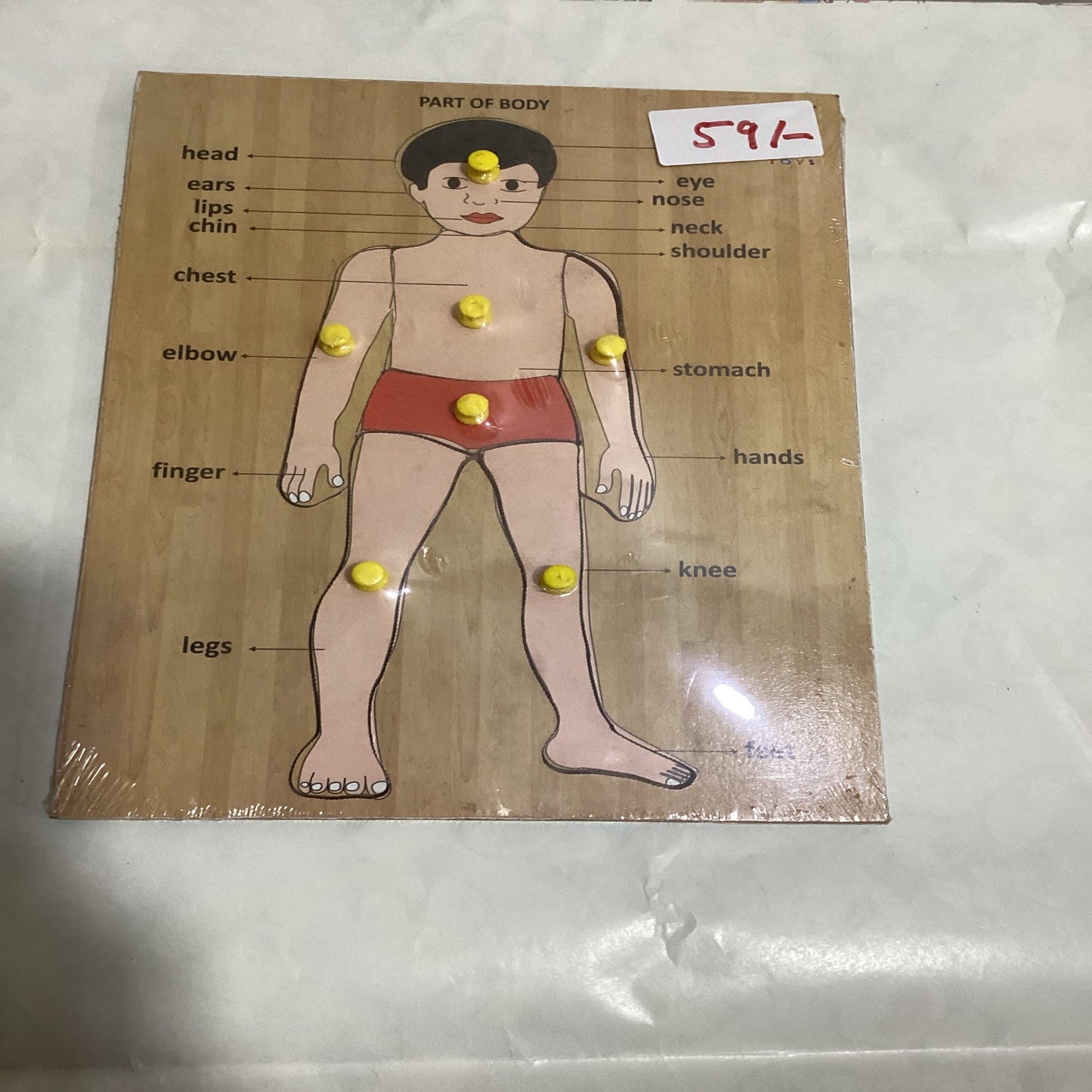 Wooden Puzzle Body Parts