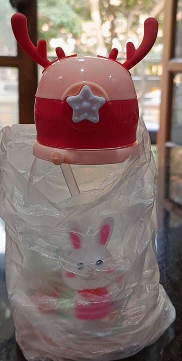 Rabbit star bottle new