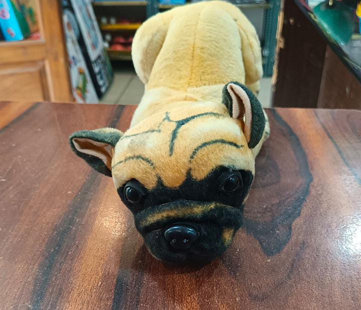 Hutch dog  refurbished