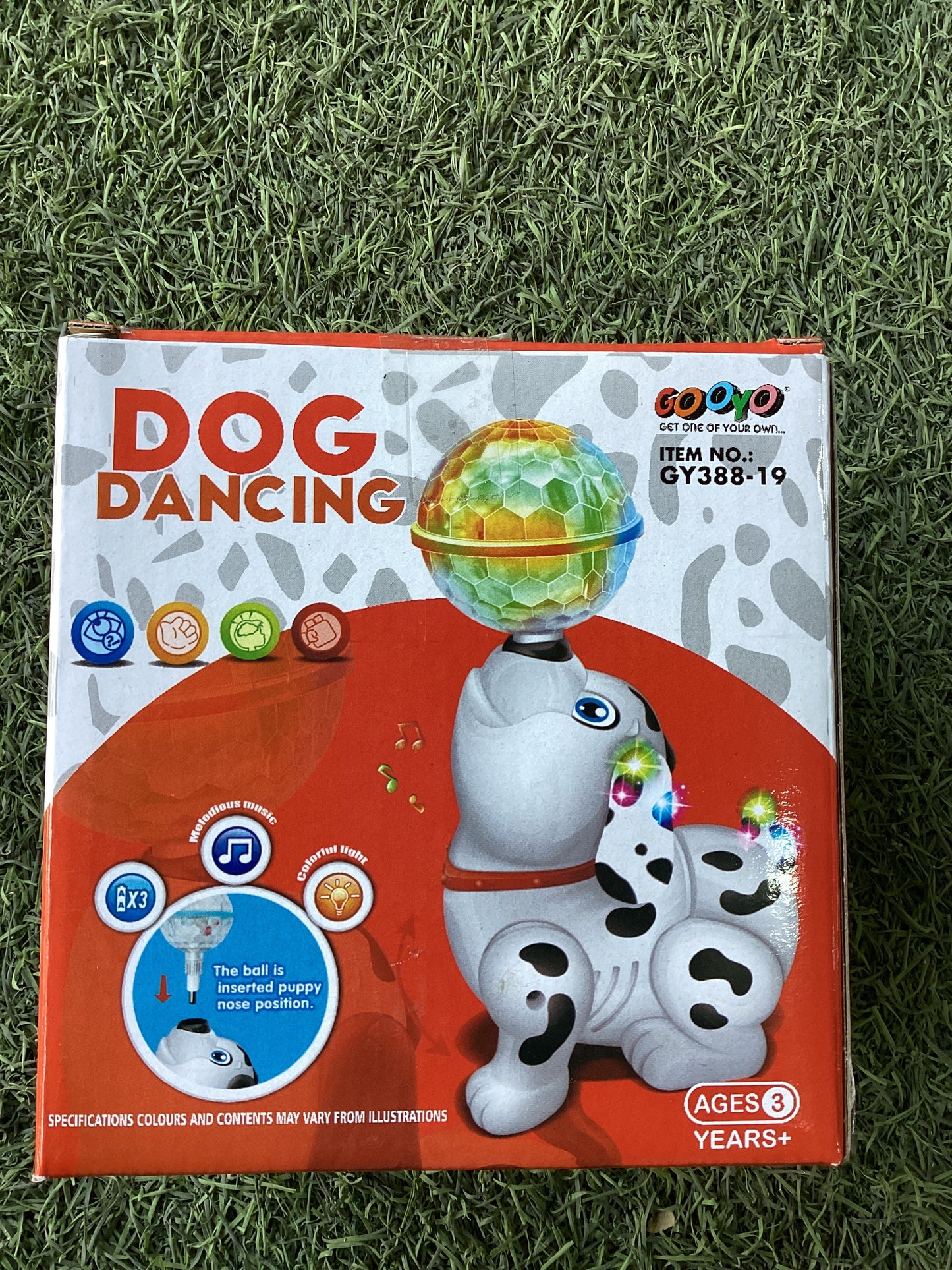 Dancing Dog