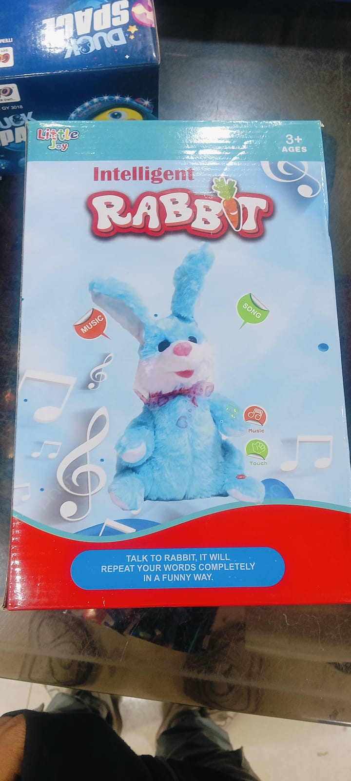 intelligent rabbit